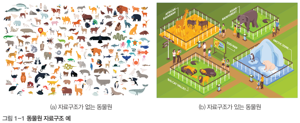 동물원 자료구조 비유